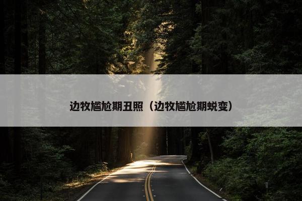 边牧尴尬期丑照（边牧尴尬期蜕变）