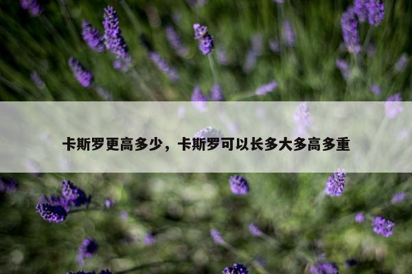 卡斯罗更高多少，卡斯罗可以长多大多高多重