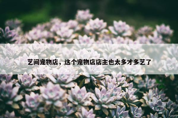 艺间宠物店，这个宠物店店主也太多才多艺了