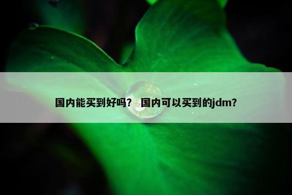 国内能买到好吗？ 国内可以买到的jdm？