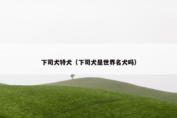 下司犬特犬（下司犬是世界名犬吗）