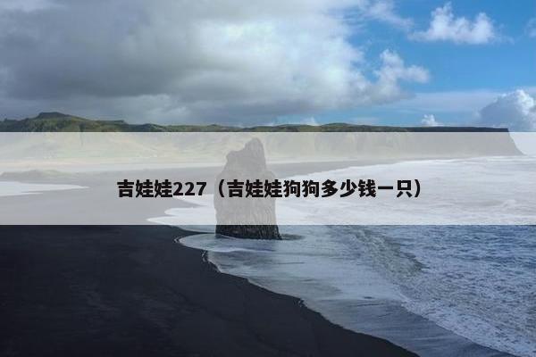 吉娃娃227（吉娃娃狗狗多少钱一只）