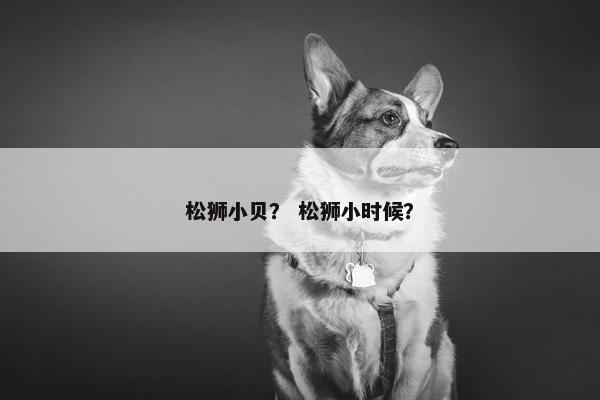 松狮小贝？ 松狮小时候？