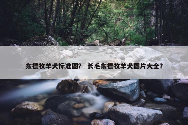 东德牧羊犬标准图？ 长毛东德牧羊犬图片大全？