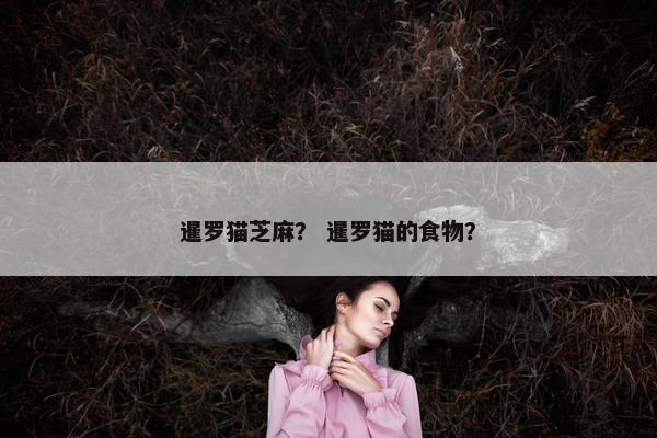 暹罗猫芝麻？ 暹罗猫的食物？