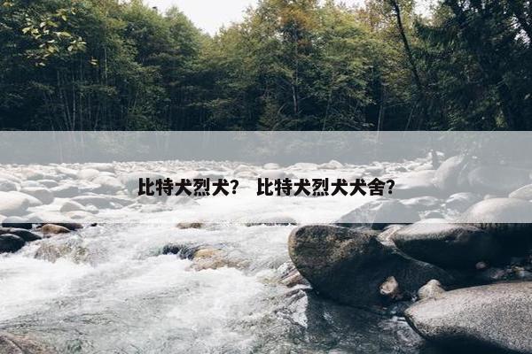 比特犬烈犬？ 比特犬烈犬犬舍？