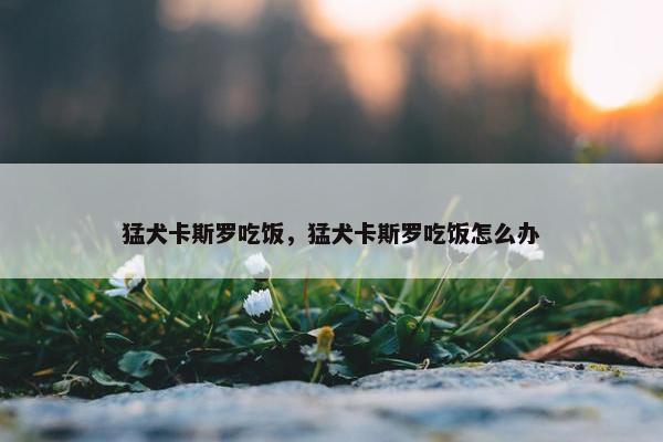 猛犬卡斯罗吃饭，猛犬卡斯罗吃饭怎么办