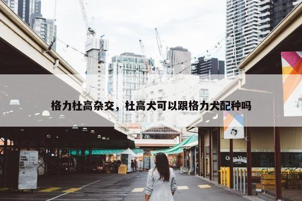 格力杜高杂交，杜高犬可以跟格力犬配种吗