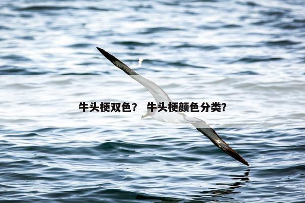 牛头梗双色？ 牛头梗颜色分类？