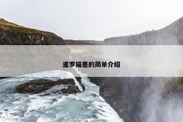暹罗猫墨的简单介绍