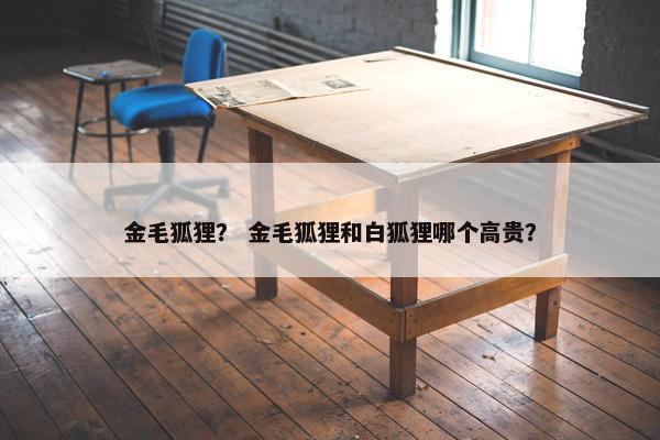 金毛狐狸？ 金毛狐狸和白狐狸哪个高贵？