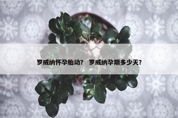 罗威纳怀孕胎动？ 罗威纳孕期多少天？