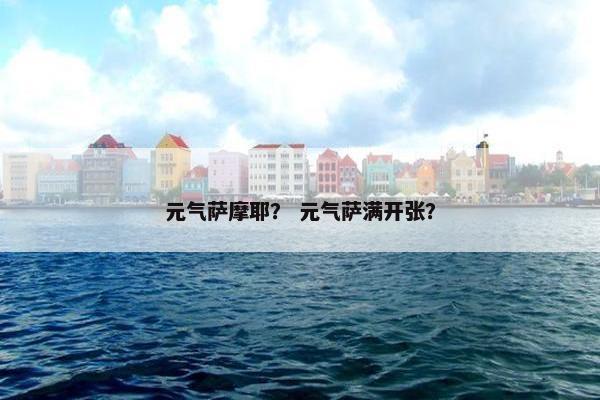 元气萨摩耶？ 元气萨满开张？
