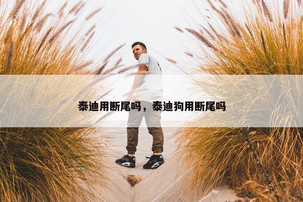泰迪用断尾吗，泰迪狗用断尾吗