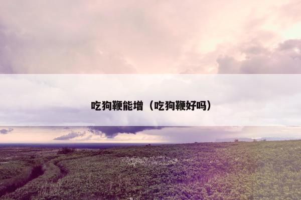吃狗鞭能增（吃狗鞭好吗）