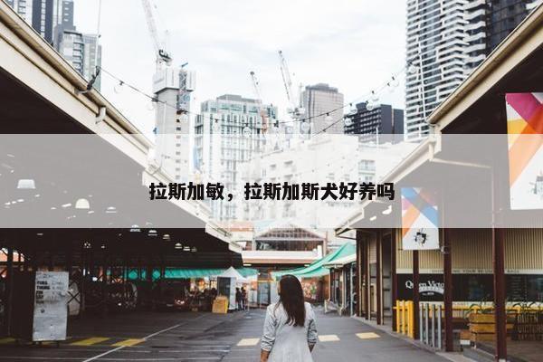 拉斯加敏，拉斯加斯犬好养吗