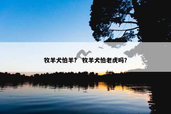 牧羊犬怕羊？ 牧羊犬怕老虎吗？