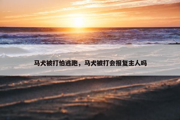马犬被打怕逃跑，马犬被打会报复主人吗