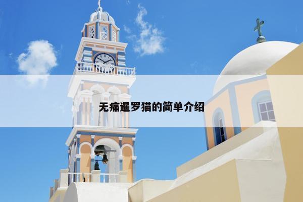 无痛暹罗猫的简单介绍