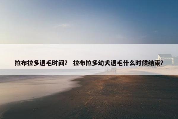 拉布拉多退毛时间？ 拉布拉多幼犬退毛什么时候结束？
