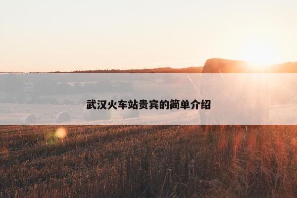 武汉火车站贵宾的简单介绍