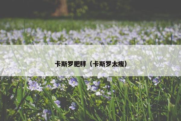 卡斯罗肥胖（卡斯罗太瘦）