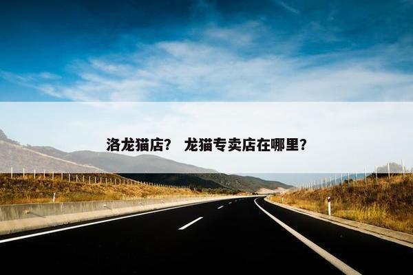 洛龙猫店？ 龙猫专卖店在哪里？