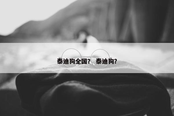 泰迪狗全国？ 泰迪狗？