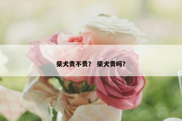 柴犬贵不贵？ 柴犬贵吗？