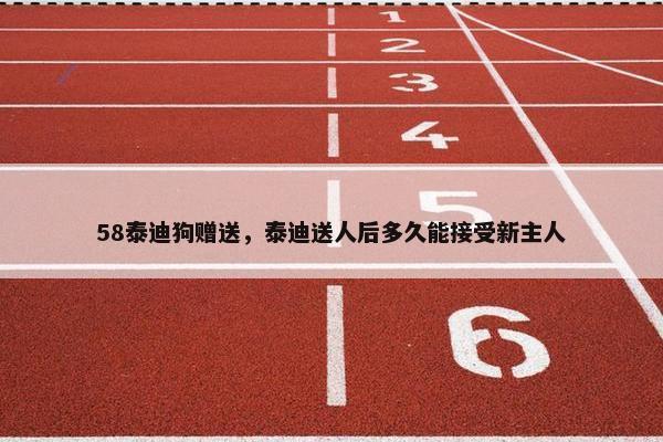 58泰迪狗赠送，泰迪送人后多久能接受新主人