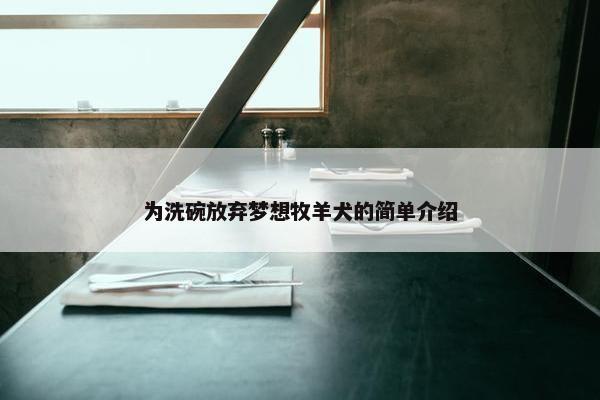 为洗碗放弃梦想牧羊犬的简单介绍