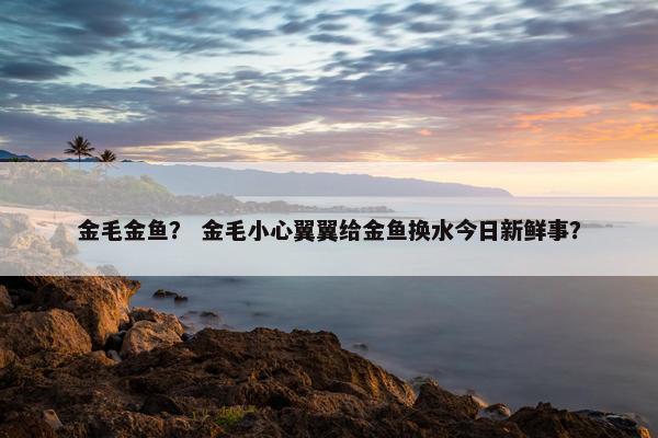 金毛金鱼？ 金毛小心翼翼给金鱼换水今日新鲜事？