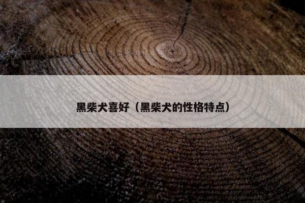 黑柴犬喜好（黑柴犬的性格特点）