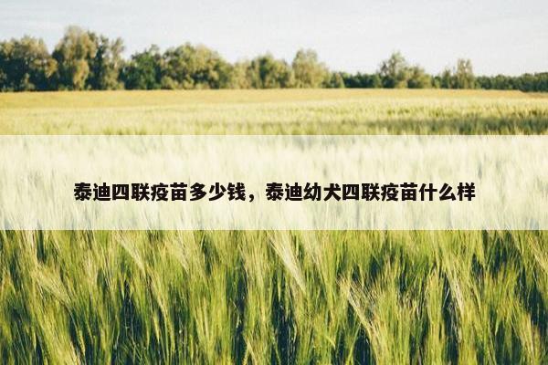 泰迪四联疫苗多少钱，泰迪幼犬四联疫苗什么样