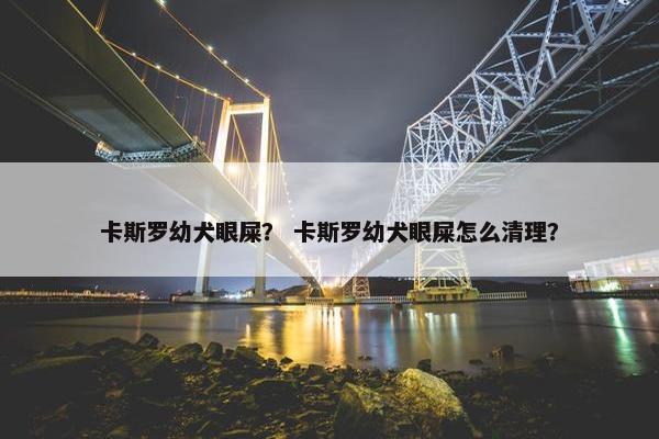 卡斯罗幼犬眼屎？ 卡斯罗幼犬眼屎怎么清理？