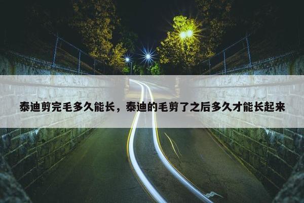 泰迪剪完毛多久能长，泰迪的毛剪了之后多久才能长起来