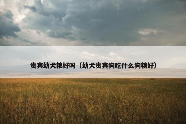 贵宾幼犬粮好吗（幼犬贵宾狗吃什么狗粮好）