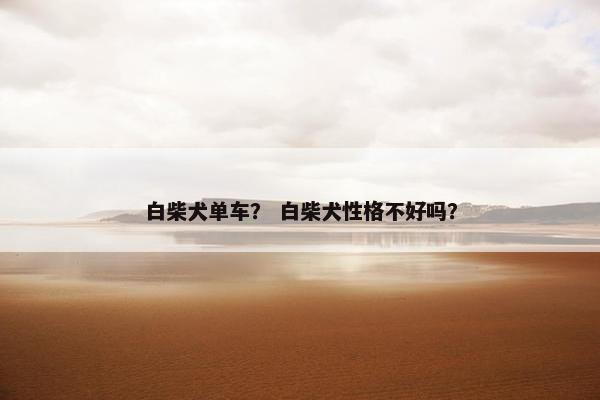 白柴犬单车？ 白柴犬性格不好吗？