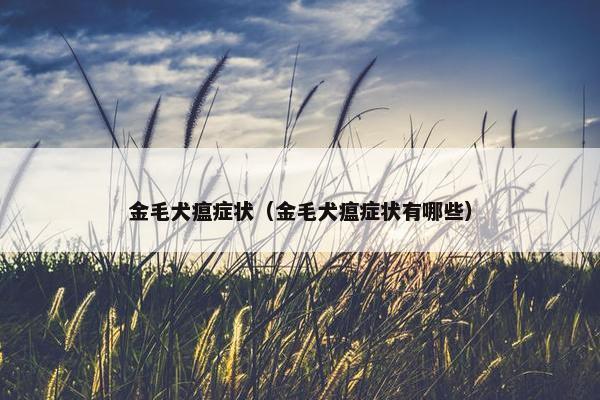 金毛犬瘟症状（金毛犬瘟症状有哪些）
