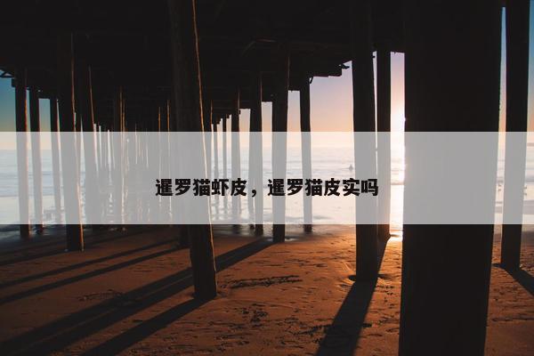 暹罗猫虾皮，暹罗猫皮实吗