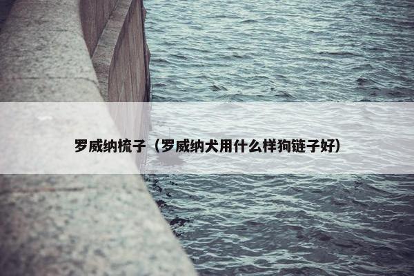 罗威纳梳子（罗威纳犬用什么样狗链子好）