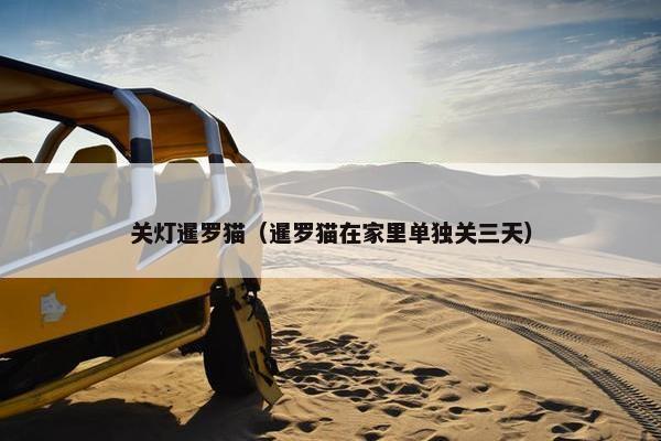 关灯暹罗猫（暹罗猫在家里单独关三天）