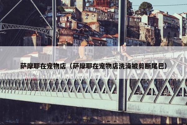 萨摩耶在宠物店（萨摩耶在宠物店洗澡被剪断尾巴）