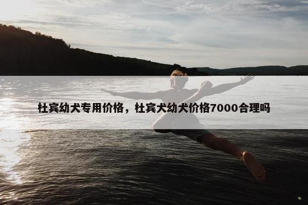 杜宾幼犬专用价格，杜宾犬幼犬价格7000合理吗