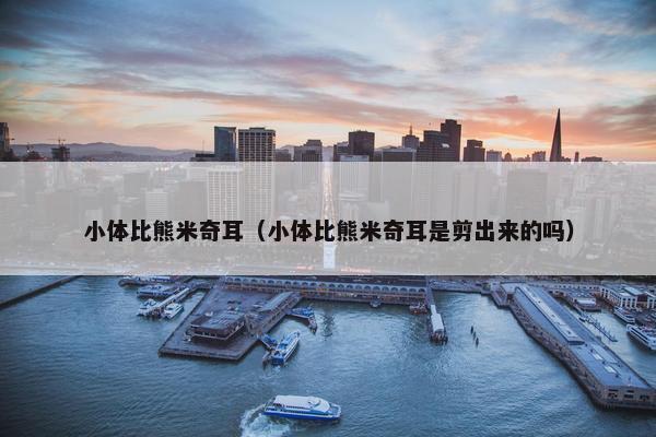 小体比熊米奇耳（小体比熊米奇耳是剪出来的吗）
