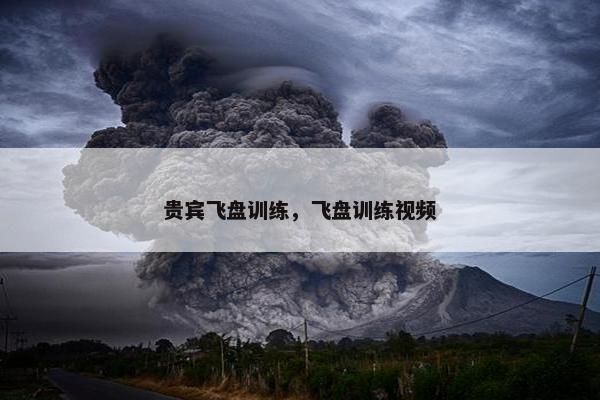 贵宾飞盘训练，飞盘训练视频