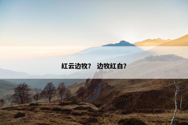 红云边牧？ 边牧红白？