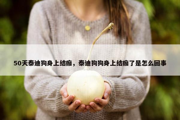 50天泰迪狗身上结痂，泰迪狗狗身上结痂了是怎么回事