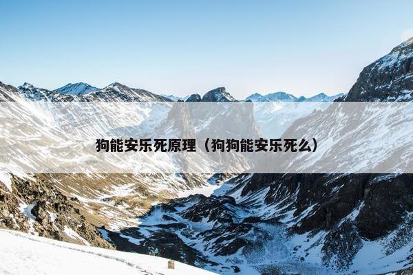 狗能安乐死原理（狗狗能安乐死么）