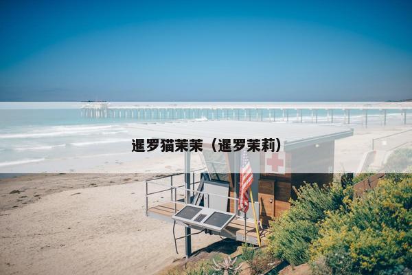 暹罗猫茉茉（暹罗茉莉）